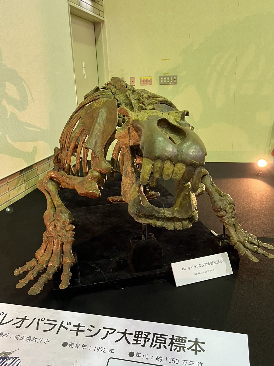 パンテオン tweet media