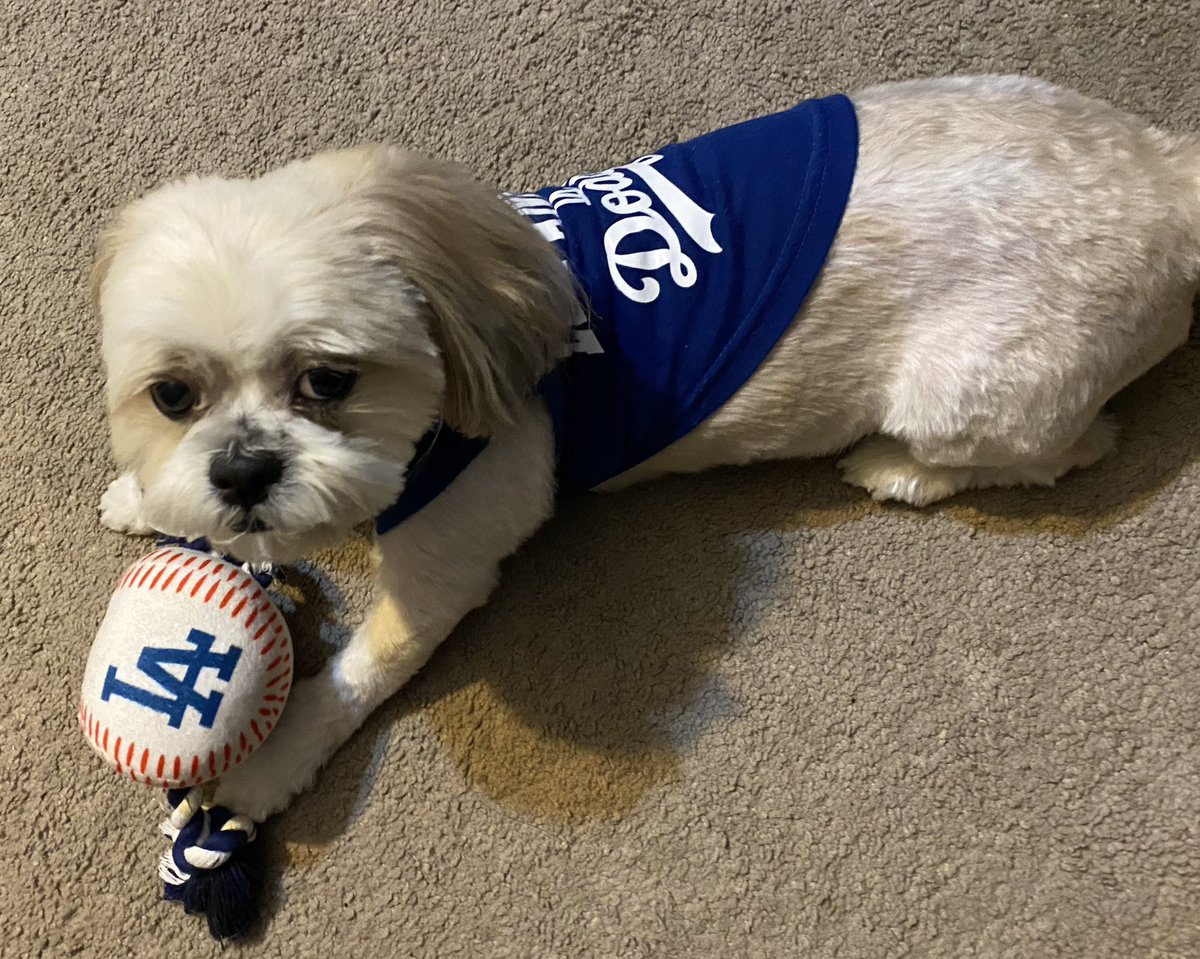 Apoyando a #Dodgers #losdoyers <a href="/FOXSportsMX/">FOX Sports MX</a> #SerieMundialxFSMX