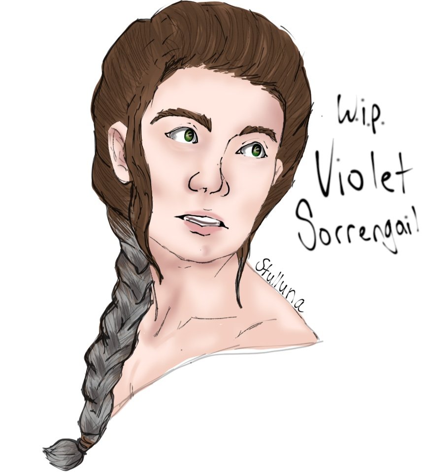 I got two recommendations for Fourth Wing on the same day so I bought it and love it so far! I'm half way through the first book.  I wanna draw the dragons, I LOVE dragons so so much, but I don't think I'd do them justice. 💙 
#fourthwing #violetsorrengail #wip
