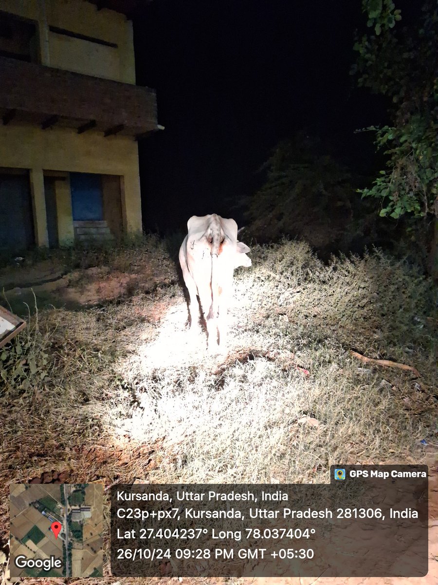 Sachin Pandit(गौ रक्षक) tweet media