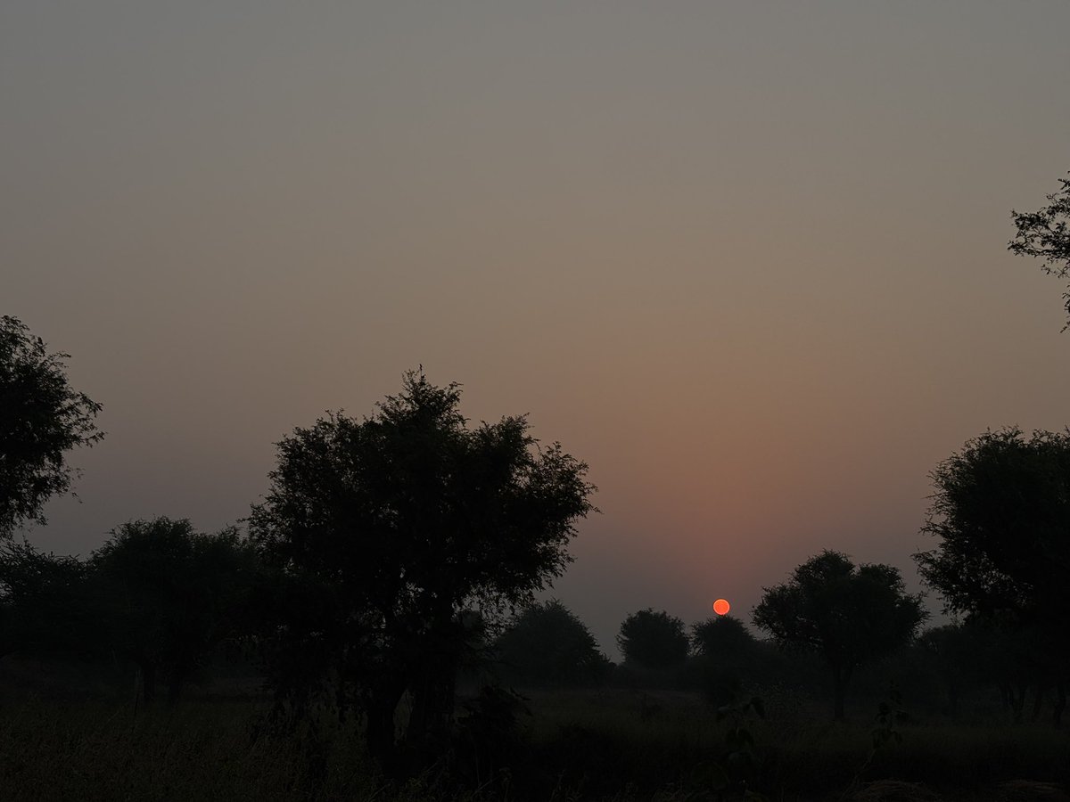 सुबह की राम राम 🙏🙏☺️