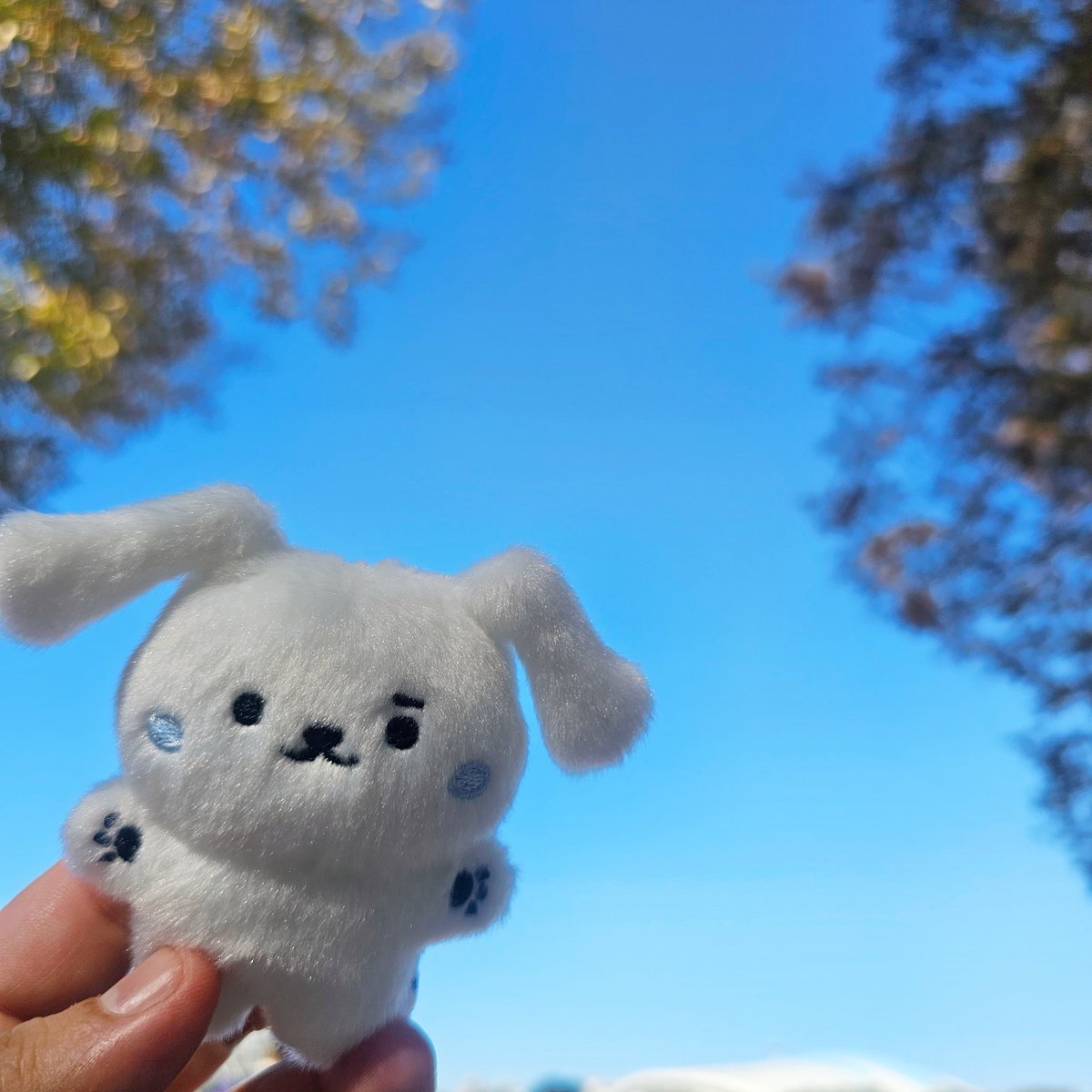 mongsimisimi's tweet photo. 241026 GMF
먹던 사진 죄송 🙏먹고있는데 가방에 빼꼼이 있는 쪼꼬미가 넘나 귀여워서욝..
호수공원 스테이지는 처음가봤는데 공연장 구조, 주변의 나무, 무대 뒤 호수, 날씨 까지 딱 맞는 세트같았다. 나중에 햄이 이런데서 노래해주는 상상을 잠깐했는데 수용인원이 너무 부족할것같아서 미리 포기. https://t.co/tlDBqZvawU