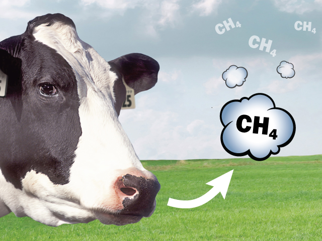 HadlTaylor's tweet photo. Modern beef production is now more efficient, using less land and fewer resources per pound of meat. This progress, paired with methane-reducing innovations, is helping lower beef farming’s environmental impact. 🐄♻️
#CAO24 #BeefProduction #Sustainability https://t.co/6ZihG9i96D