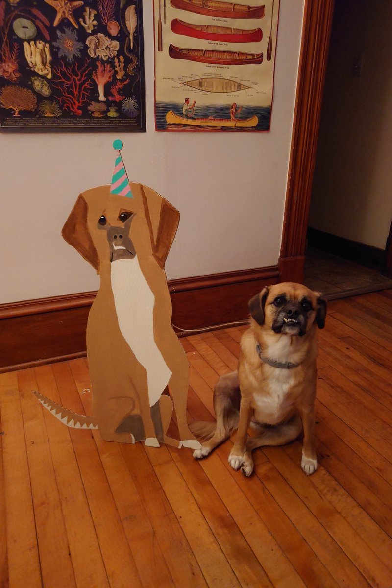 Tom Proctor @tomproctor.bsky.social tweet media