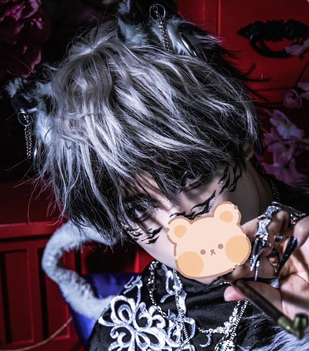 pancake_shoto's tweet photo. CATBOY SHOTO IS REAL https://t.co/NQNVxjai82