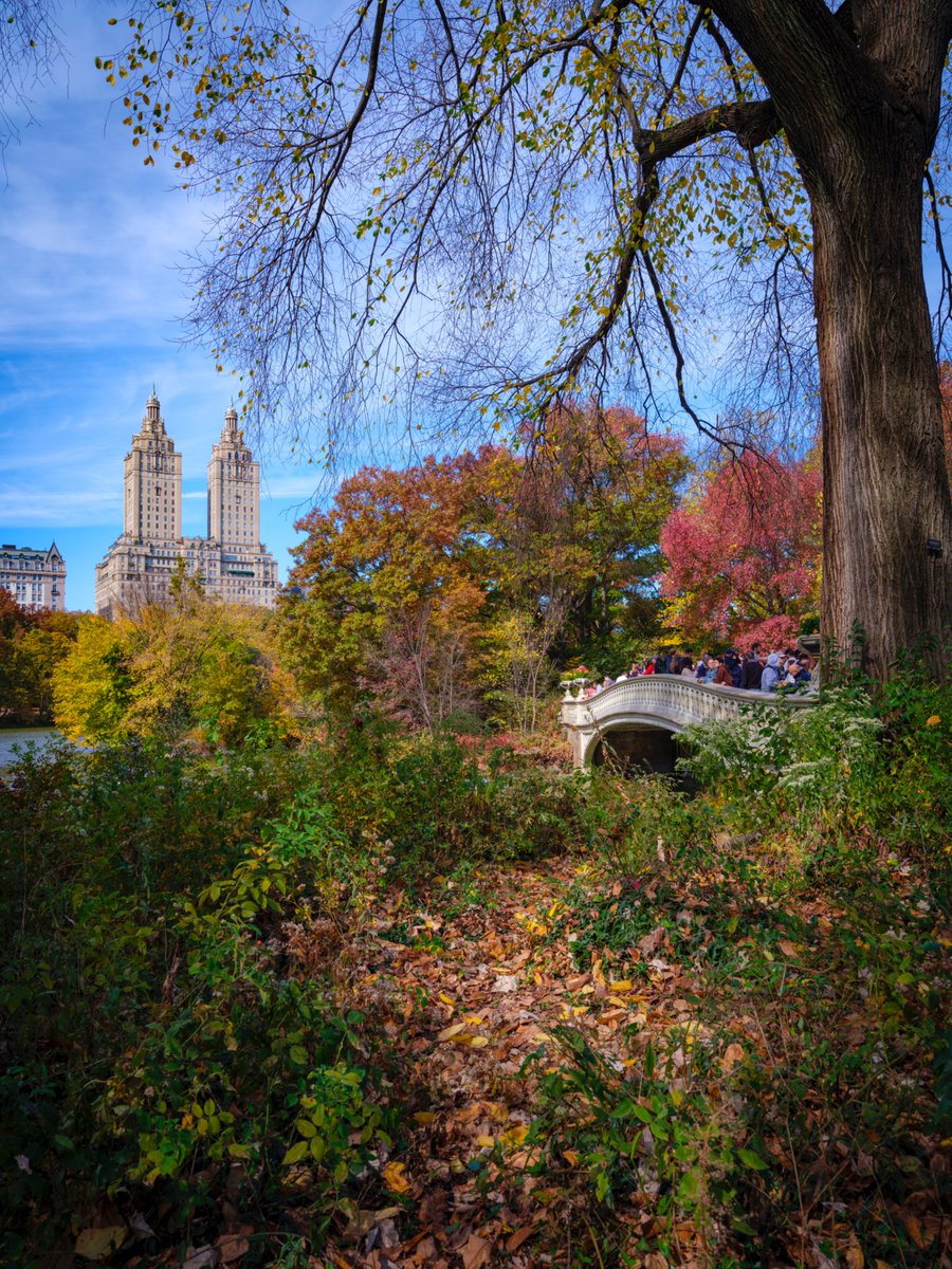 tomoharema's tweet photo. #GF3264 #GFX100S #fujifilm #newyork #manhattan #centralpark https://t.co/CSm46kLnFD