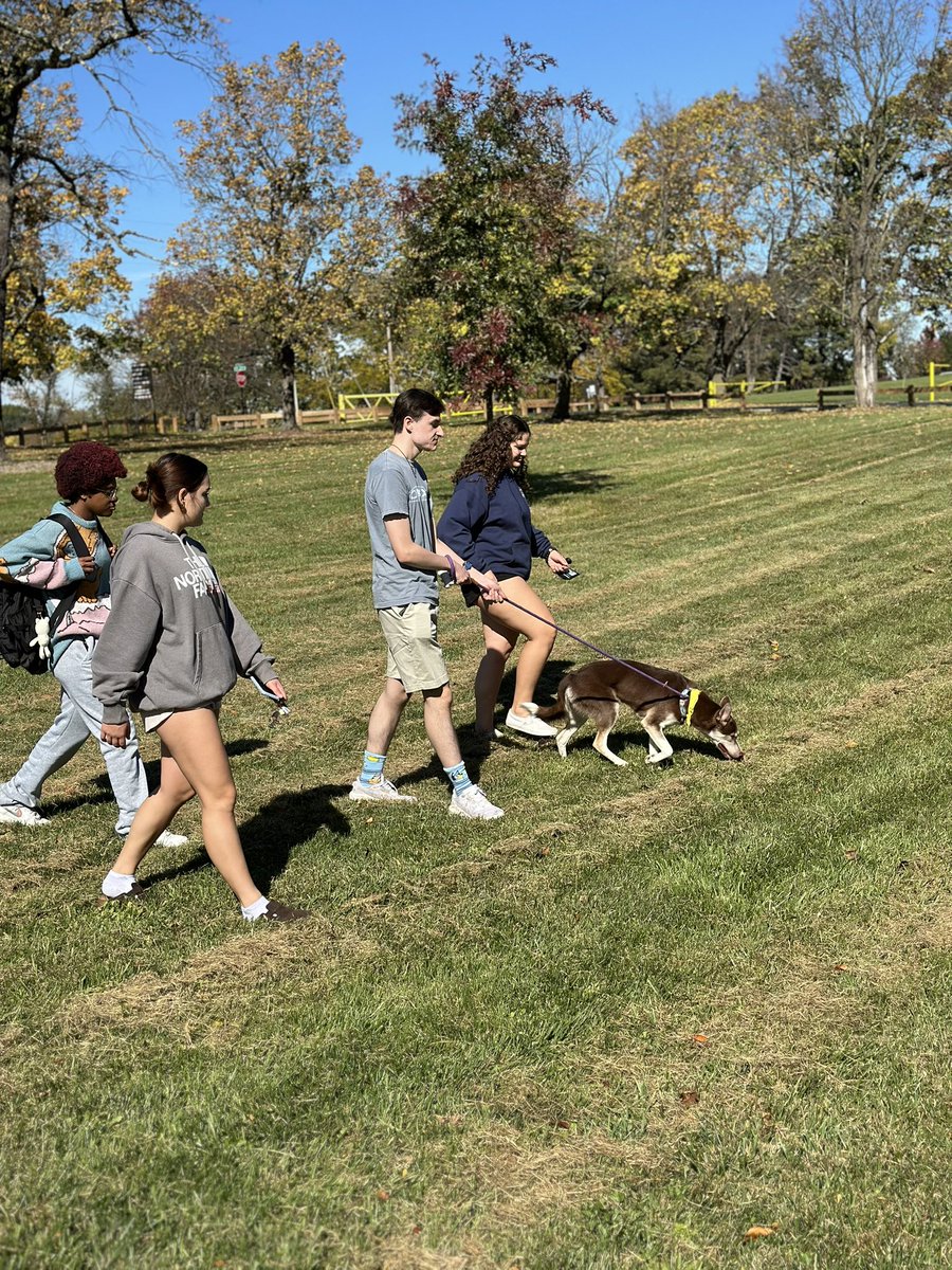 ShenUEIM's tweet photo. Some awesome pics from our Walk With a Dog event on 10/25! All dogs are adoptable through the Winchester SPCA! https://t.co/s7CcUD7XGc