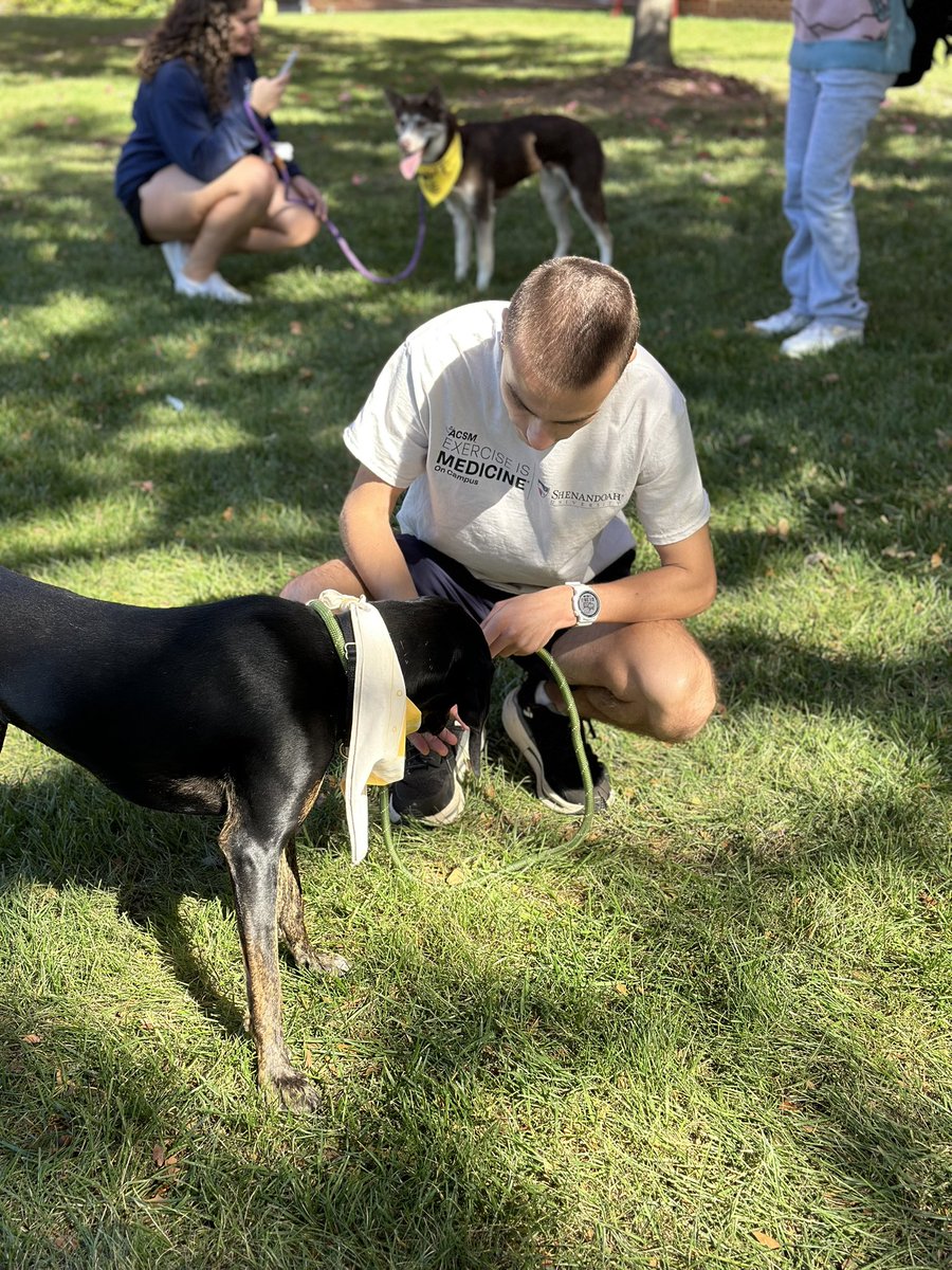 ShenUEIM's tweet photo. Some awesome pics from our Walk With a Dog event on 10/25! All dogs are adoptable through the Winchester SPCA! https://t.co/s7CcUD7XGc