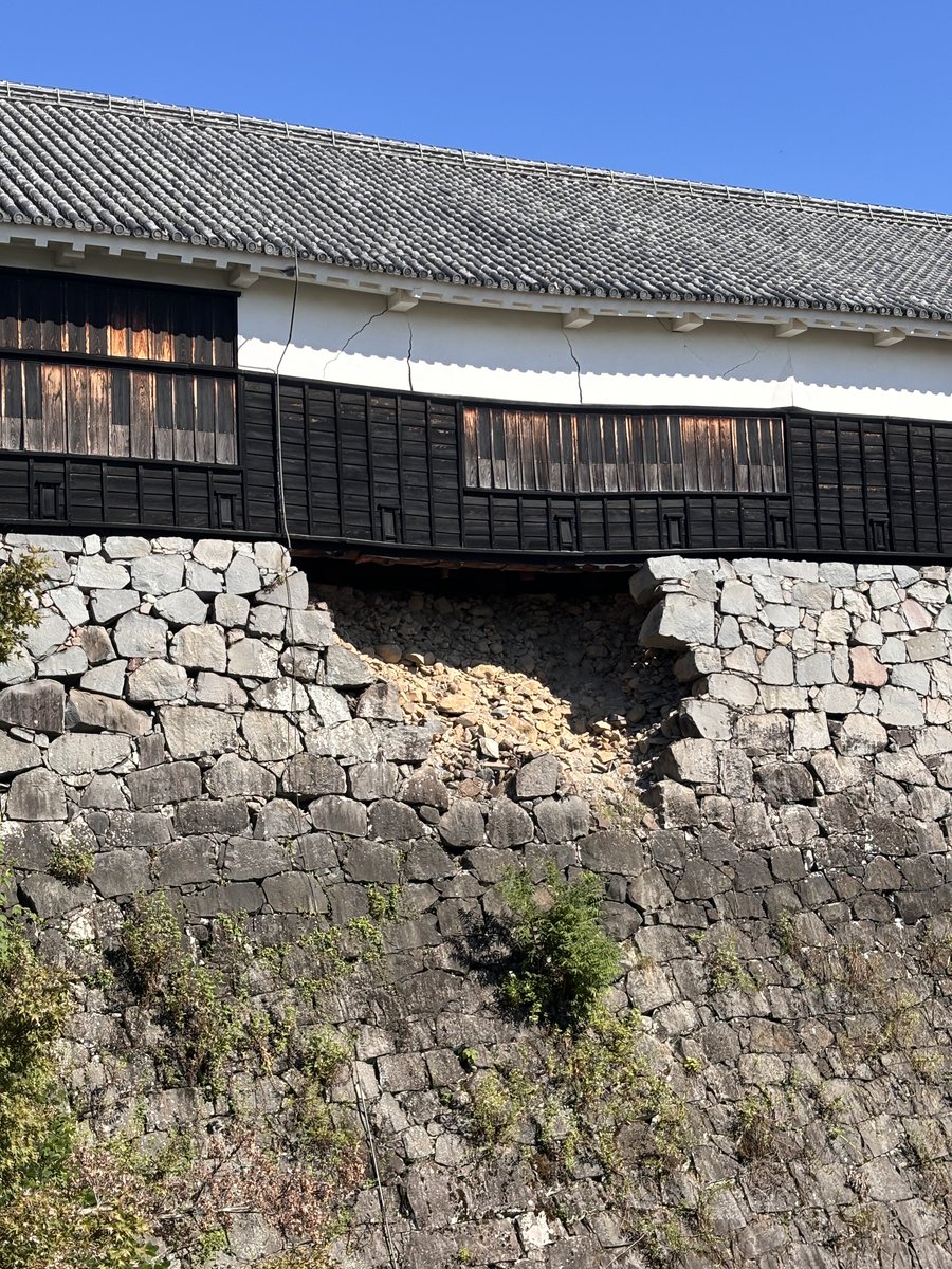 もふ汰🐿️🌼 tweet media