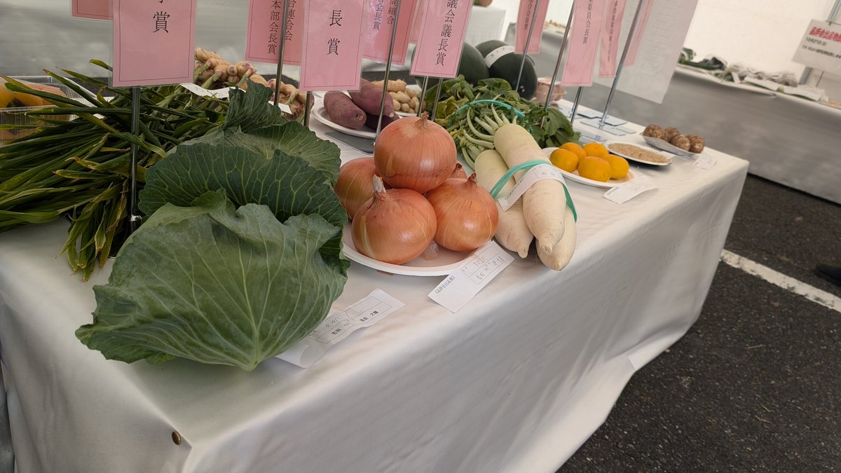 msmc373's tweet photo. 野菜美

野菜も芸術になるんだなぁ https://t.co/9IbBp5OhZi