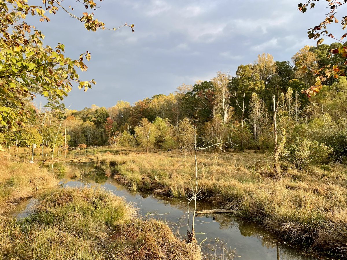 Read Appalachia tweet media