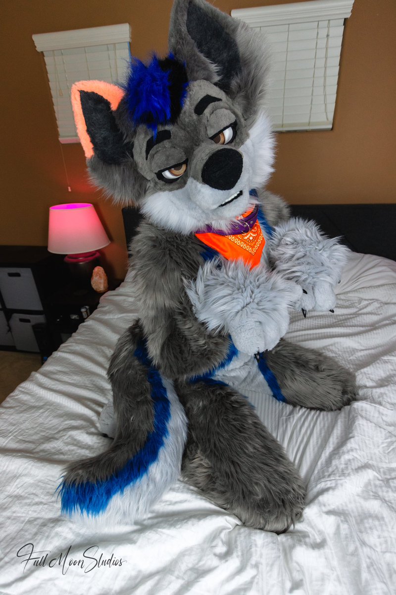 DJ Wolf After Bark (@DisjointWolfyAD) / Posts / X