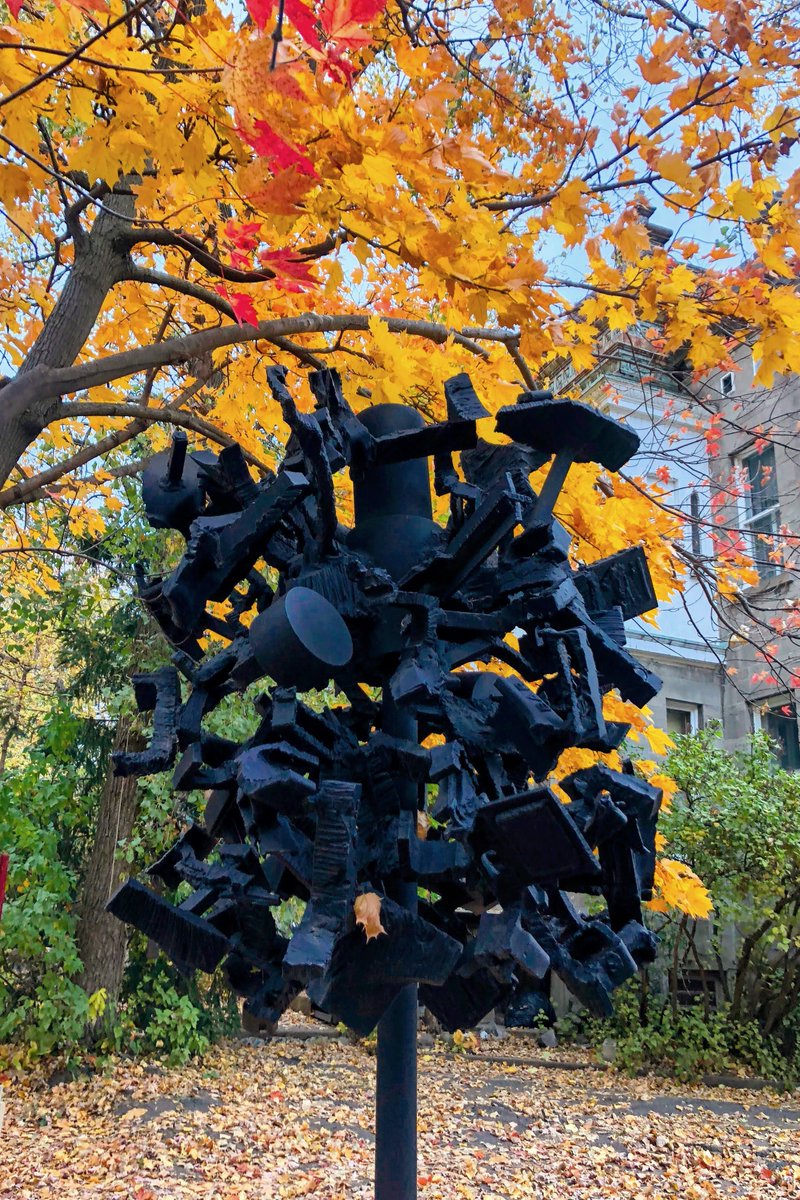 Plateau Mont-Royal tweet media
