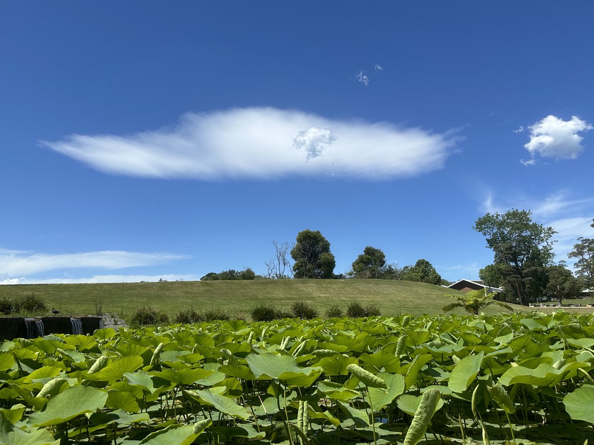 Michael Blumenstein (@profblumenstein) on Twitter photo Beautiful cloud formation at Mt Penang Gardens.ā¦ā¦<a href="/CCoastCouncil/">CentralCoastCouncil</a>ā© <a href="/NewSouthWales/">New South Wales</a>ā© Beautiful cloud formation at Mt Penang Gardens.ā¦ā¦<a href="/CCoastCouncil/">CentralCoastCouncil</a>ā© <a href="/NewSouthWales/">New South Wales</a>ā©