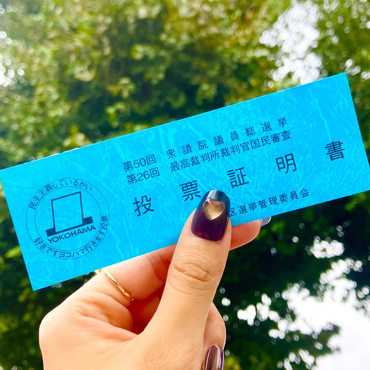 tsubomihar's tweet photo. 投票完了しました💐
まだ間に合いますよー！
#衆議院総選選挙 #衆院選2024 https://t.co/1neUEXDqGs