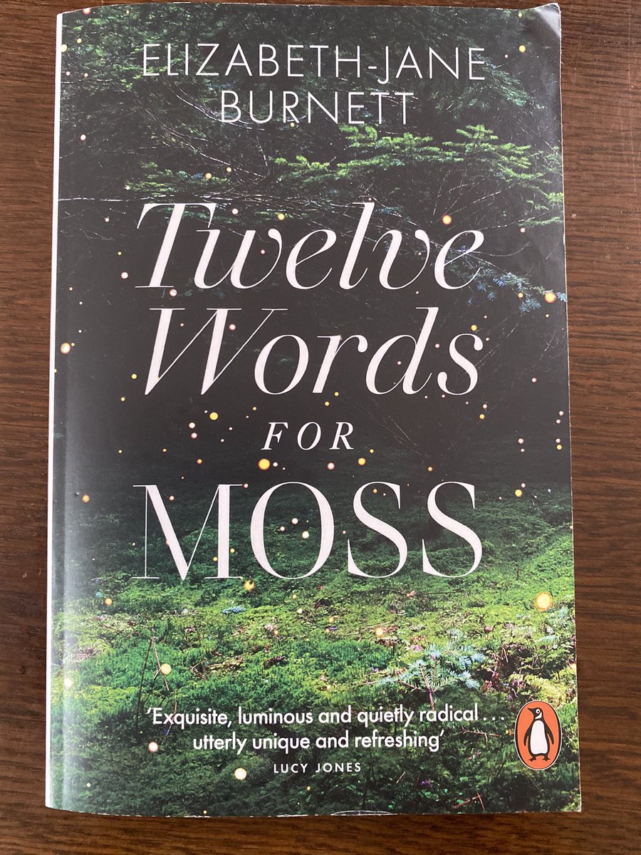 SRixecker's tweet photo. Golden gloss, sea shimmer, small glimmer. Stem of suns, sugar-spun - as if each sun were hung from a washing line, billowing pillows of light - in beams tracking the seas of the underneath.

— Elizabeth-Jane Burnett

📷SR: Moss Magic https://t.co/RD7sr1GSgH