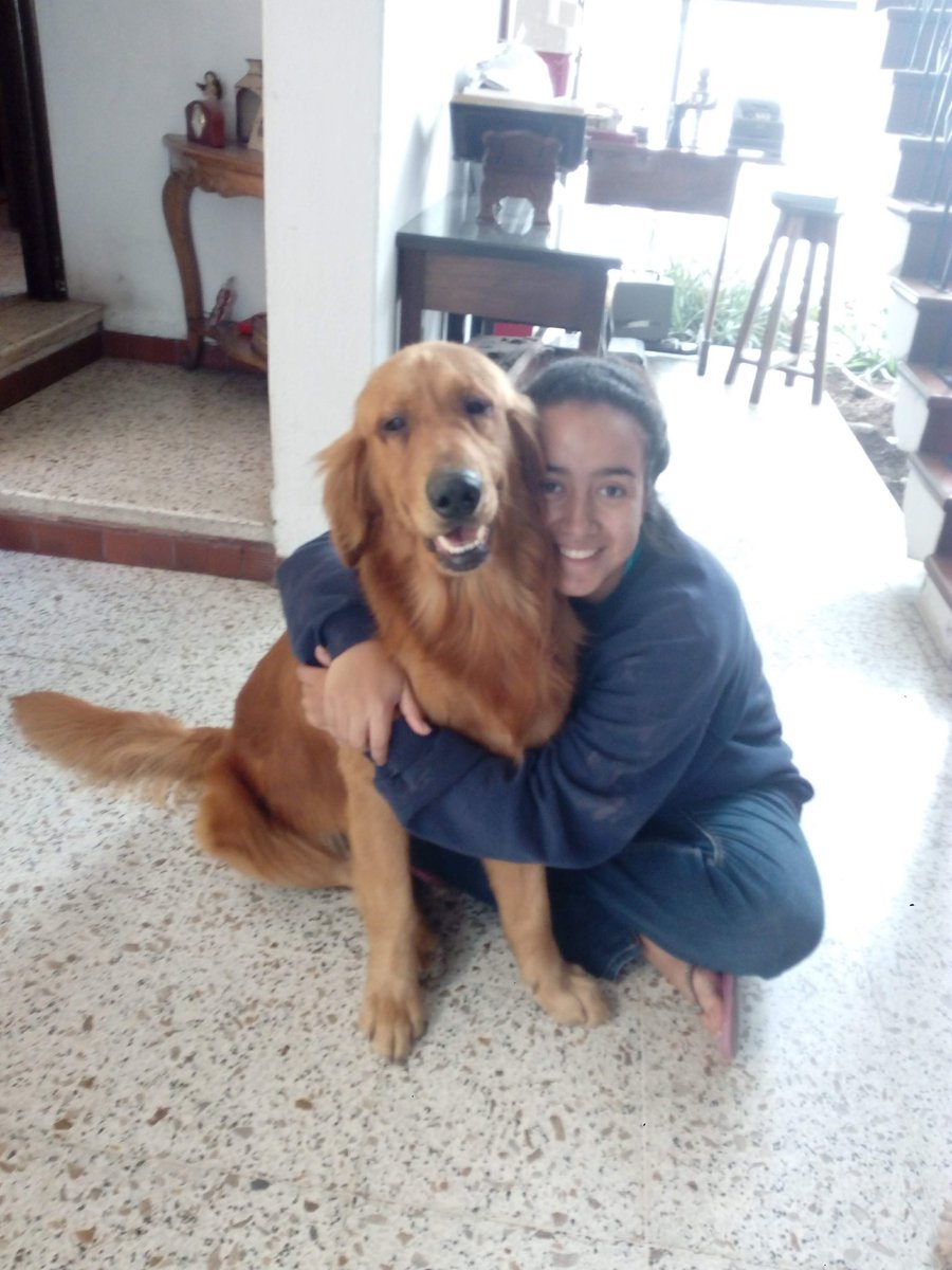 desde el 2007 me acompañaron y me hicieron muy feliz ❤️ 

muchos abrazos al cielo, mis angelitos