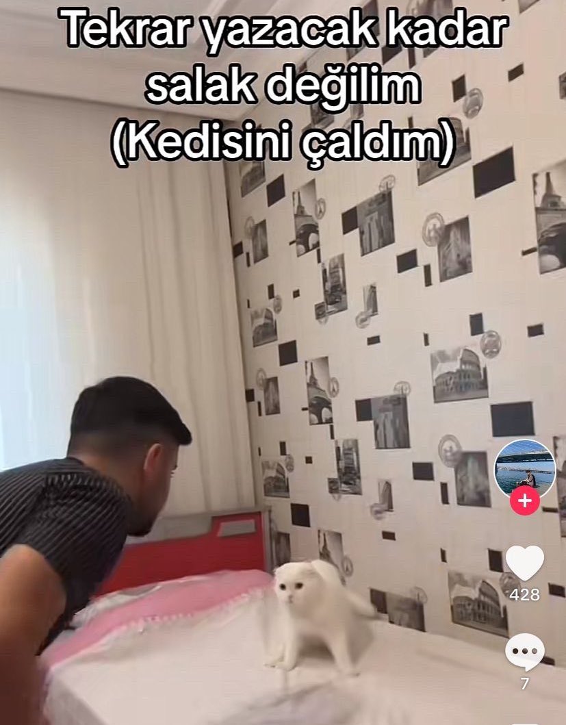ANLIK (@anlikmod) on Twitter photo 