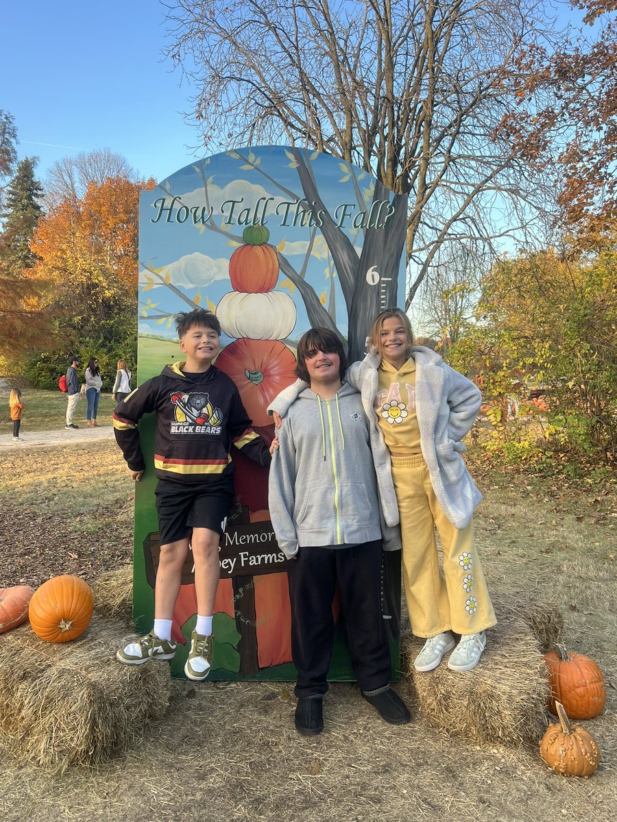 BooklerTraci's tweet photo. Finally! Pumpkin Daze Craze! 🎃 https://t.co/C1YZIO0rP2