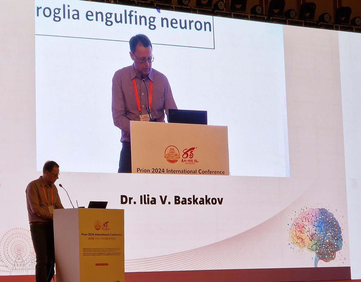 Honoured to speak in the #glia session at #Prion2024 with Ilia Baskakov and Mark Zabel on #prions #microglia &amp; #astrocytes