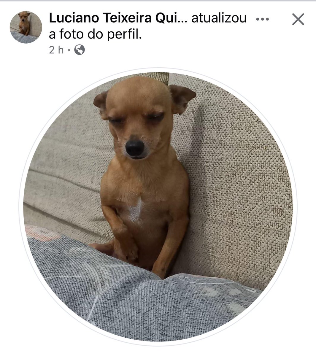 WagnerFQ2020's tweet photo. já sabemos quem é o filho preferido do meu pai https://t.co/FmJp6777qz