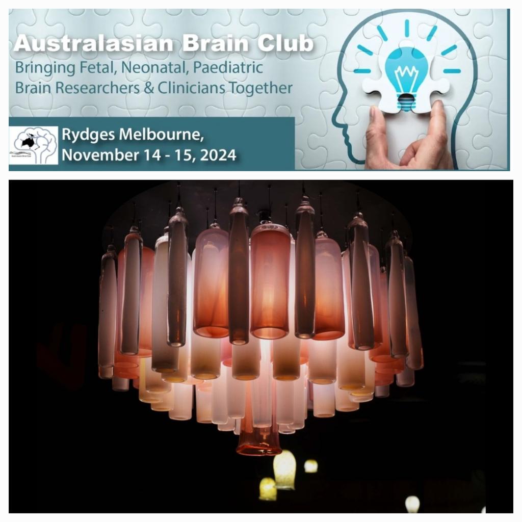 Less than 3 weeks to go for the #ABC2024 meeting! 

Detailed program out now:
australasianbrainclub.com/meetings-and-e…

Also, delegates have the option to join our networking dinner at Juliet Melbourne on 14 Nov.