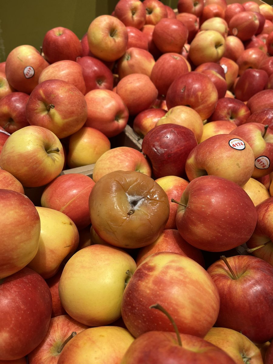 TCLiddell's tweet photo. @RealCdnSS has really nice produce available https://t.co/FGIQ78P7Yv