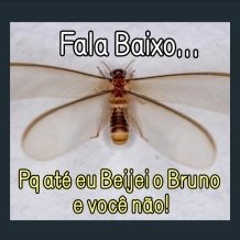 yayadomars's tweet photo. QUEM FOI??? AKKAKAKAAKAKKAKAKAKAKA EU TO MORRENDO https://t.co/MK0VG9K3BA