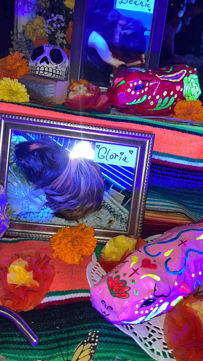 ChappellRoanNow's tweet photo. 📸| Chappell Roan shares photos of ofrenda for her deceased guinea pigs https://t.co/Rnb8pC6Mcg