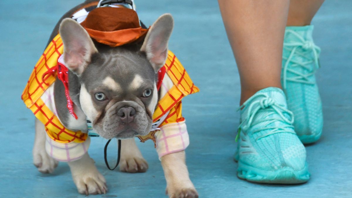 Florida Today tweet media