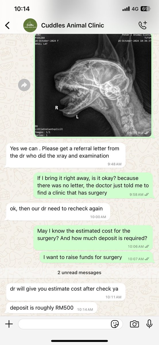 itsybitsymin's tweet photo. bubu needs help with rm500 as deposit for cuddles veterinary clinic. OP reached out to many vets, and it seems cuddles can do it and Dr tan is ready to see bubu. 

do help if u can 🙏 tq semua https://t.co/APZAcRAf1e