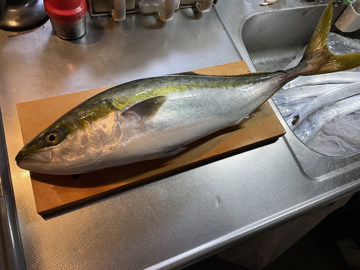 _RES4Y's tweet image. 青物とのファイトはほんと楽しいね☺️