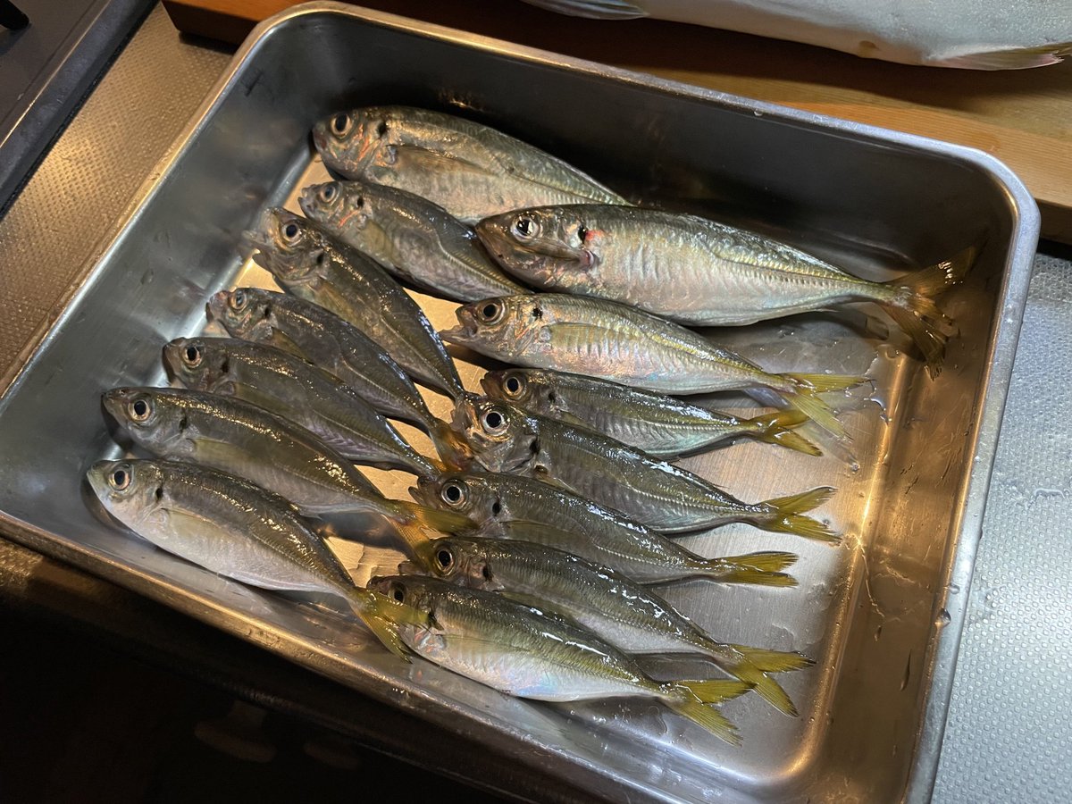 _RES4Y's tweet image. 青物とのファイトはほんと楽しいね☺️