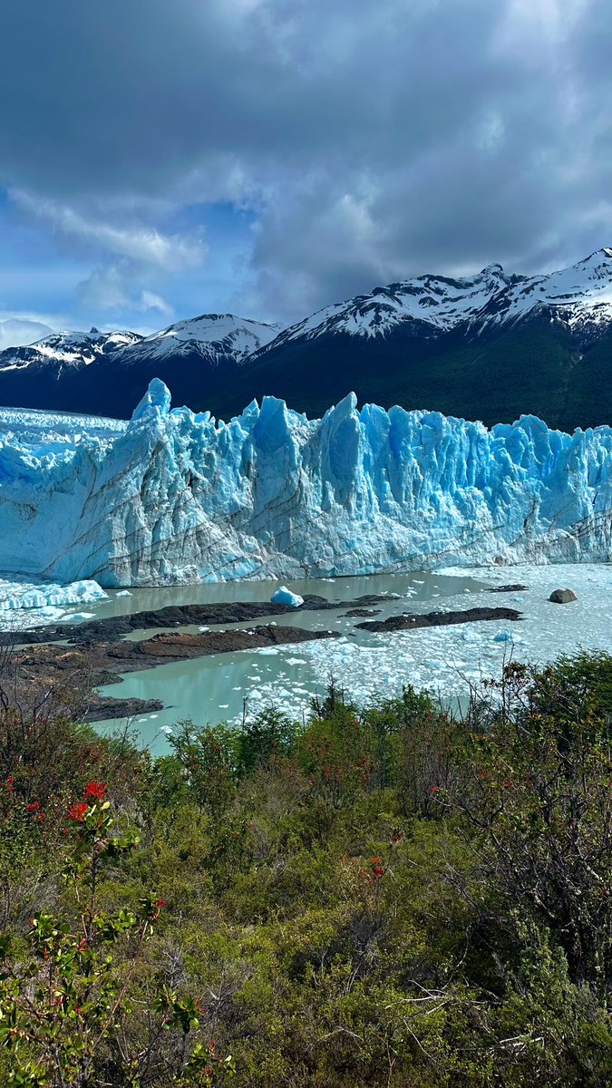 Hoy pisé este lugar por primera vez y no sé ni qué escribir. 
Sigo en shock.