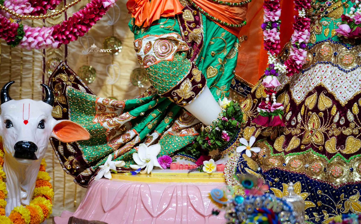 ISKCONPune's tweet photo. 🙏🏽Today's Darshan 📿 🗓27-10-2024🙏
🌷Sri Sri Radhavrindavanchandra🌷
🚩@ISKCONNVCCPune🚩
.
.
#Kartik #OfferDiyaToKrishna #KartikMonth
#Kartik2024 #DamodarMaas #Kartikmonth
#Damodarmonth2024 #ISKCONNVCC #ISKCONPune #ISKCONNVCCPune #ISKCON #27thoctober #27thoctober2024 #Sunday https://t.co/2RsuiGhtOz