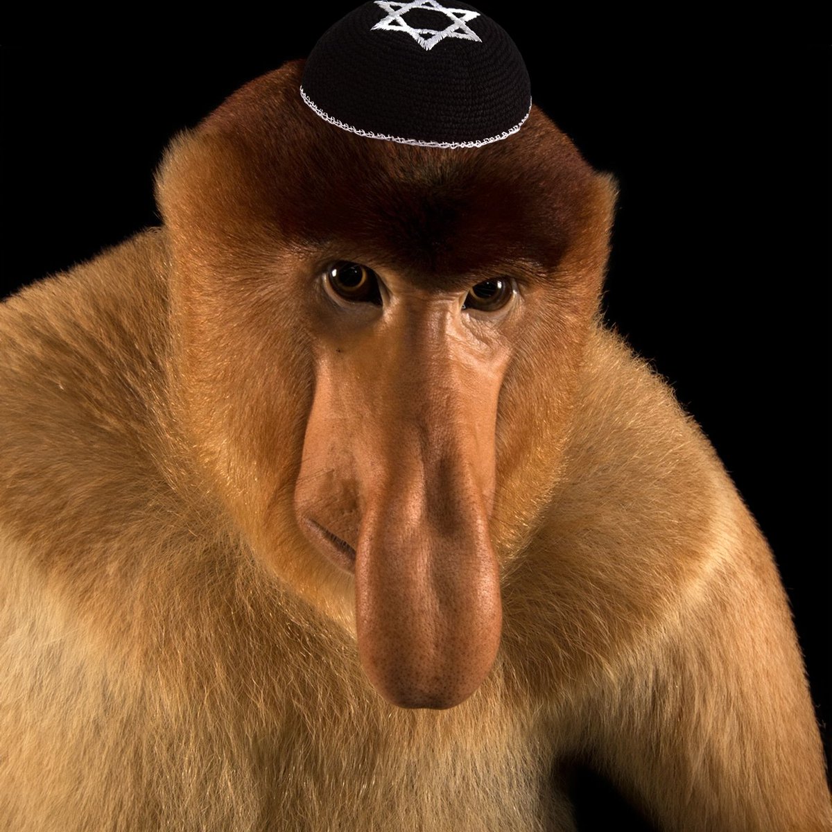 fullstackjew tweet picture