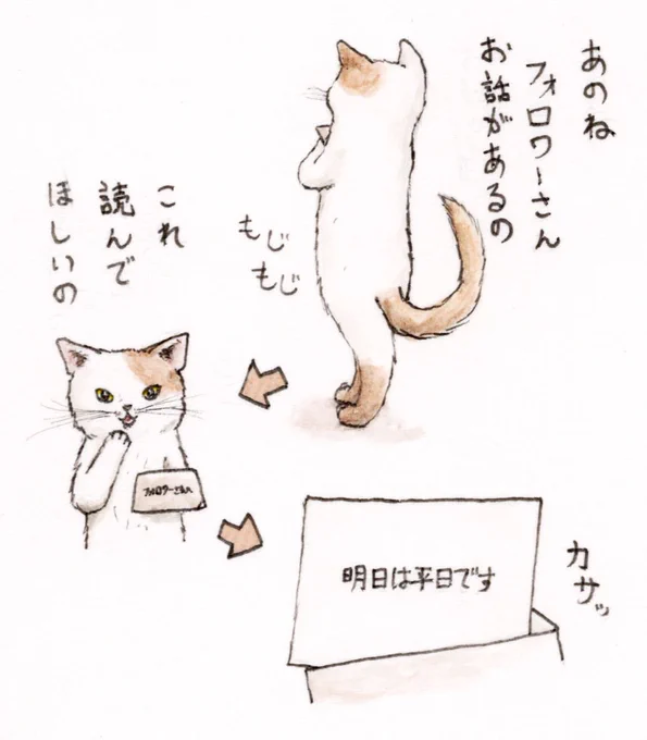【番外編①】
休日のお知らせ猫✉️
#猫  #cat  #イラスト  #過去絵 