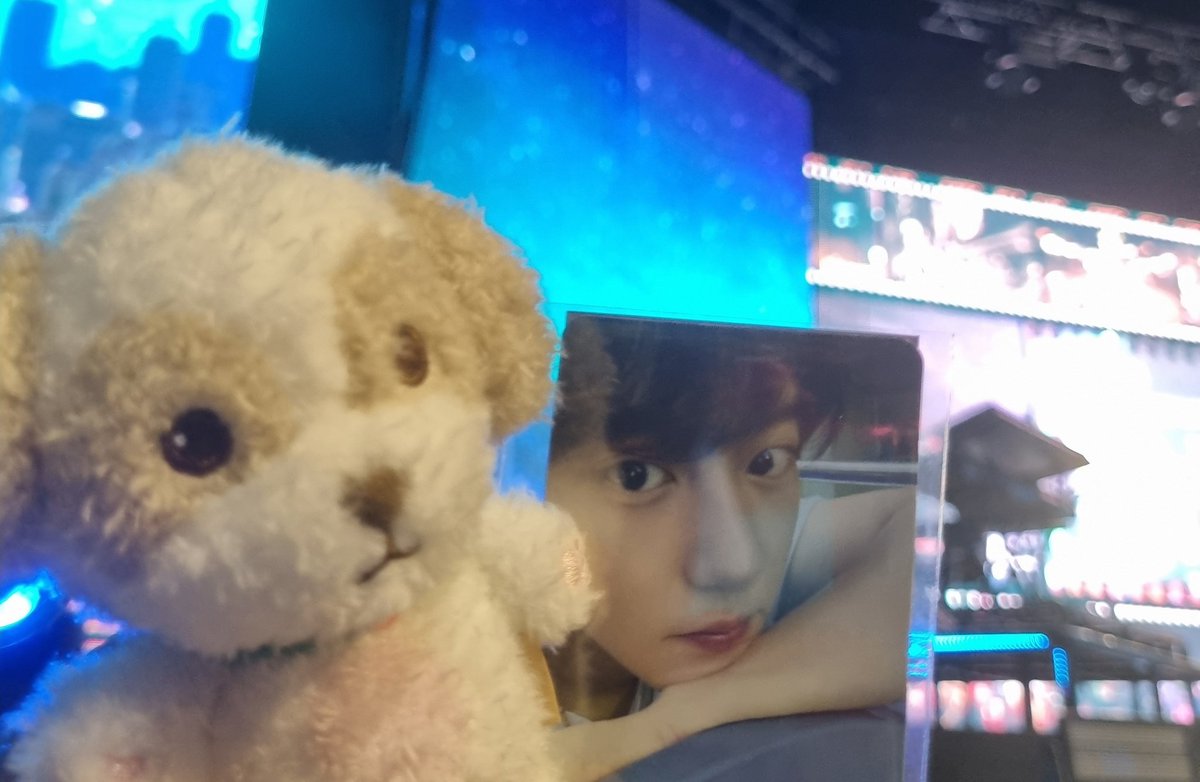 💙🏝️🐷ଘ(੭*ˊᵕˋ)੭*💖🐶🍒👑🦕🍎 tweet media