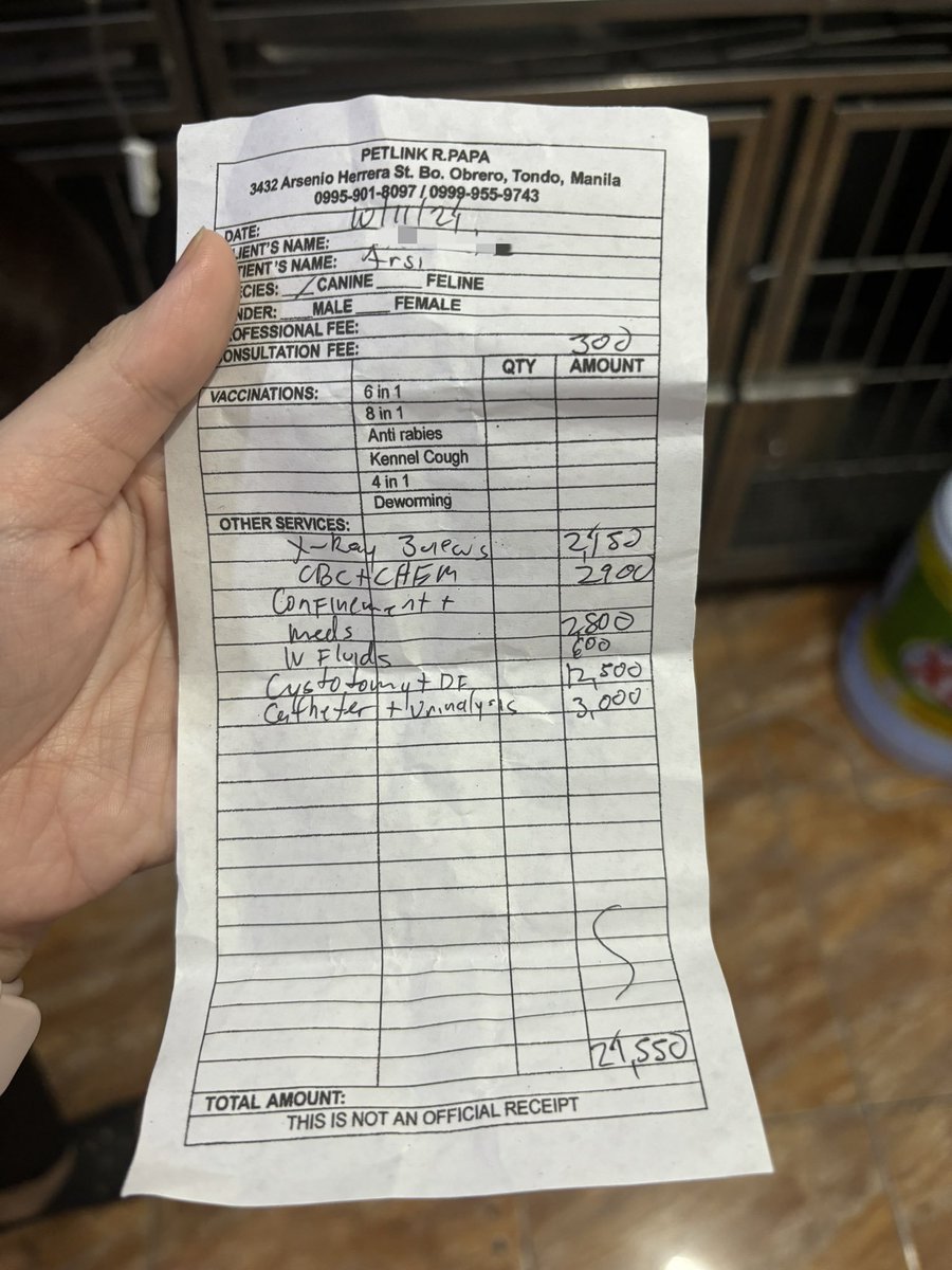 nyxie_plays's tweet photo. wts lfb 2 Dua Lipa Radical Optimism Tour LBA reg 105 concert + shuttle tix, ₱8,950 each

can do meet ups, dm me for inquiries

rfs: need funds to pay for vet bills https://t.co/9XGQWMEyAJ