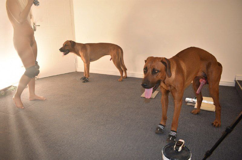 Live streaming and Dropbox folder down for my new exclusive and legit doggo content 🥵🔞

linktr.ee/knottgoddess

#SelfCare #PupLove #artofzoo #k9slut #zoolove #doggy #k9lady #knottygirl #submissive  #Raven #taboo #wild #zoo