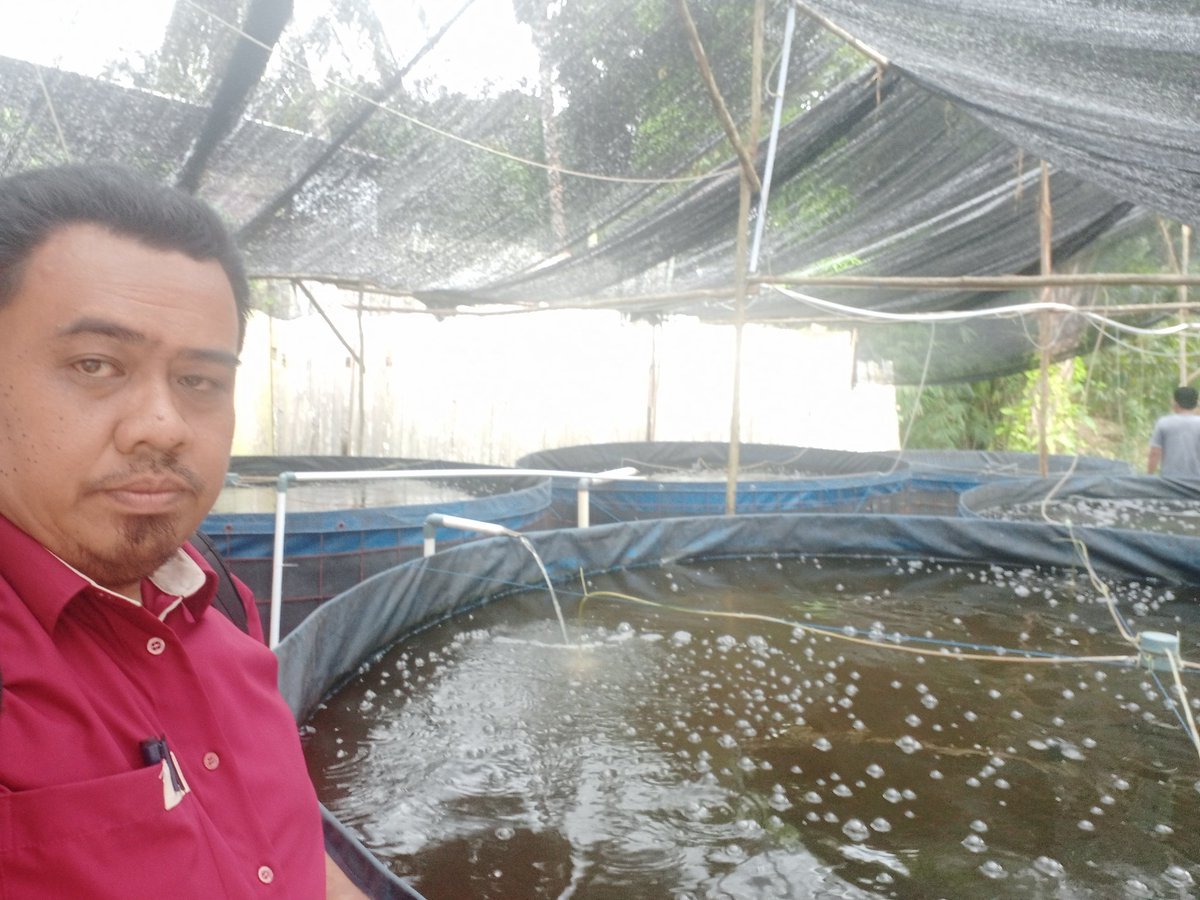 JuniadiHasdar's tweet photo. Selasa, 15 Oktober 2024, Hasdar Yuniadi Luhkan Kab. PPU, Mengunjungi perkembangan kolam bioflok POKDAKAN Buen Taka, Kelurahan Nenang, Kecamatan Penajam, Kabupaten Penajam Pasar Utara 
#luhkanppu
#PenajamPaserUtara
#luhlapor https://t.co/yzPPyWRSDd