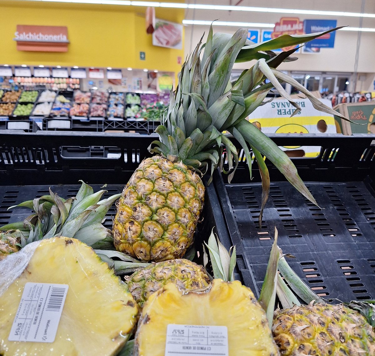 Alexacoah's tweet photo. Buenas noches, ni modo, tocó hacer super nocturno en este sabadito, a ver qué tal con esta 🍍 https://t.co/0CbUDl9L3g