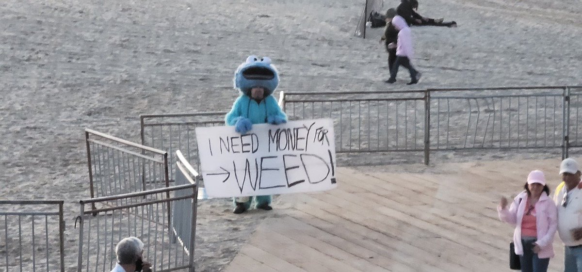 douknowidont's tweet image. Honesty is the best policy! #gotweed