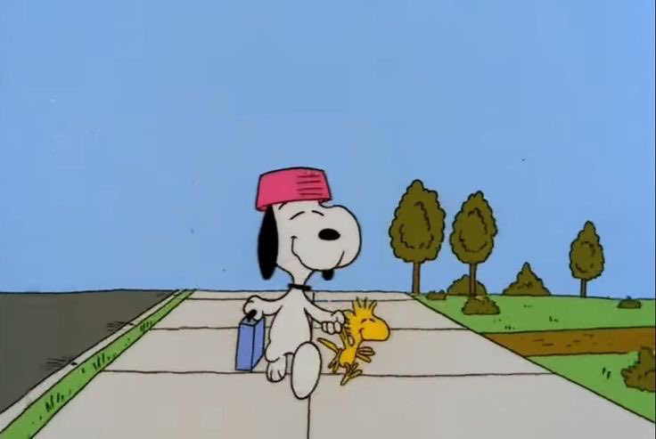 birds of a feather, we should stick together