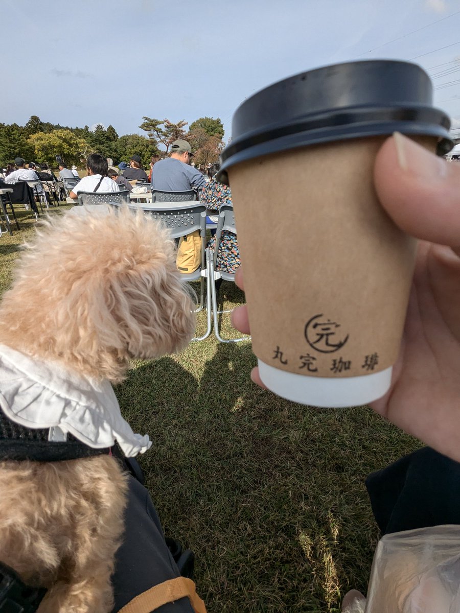 athletelabo's tweet photo. ジャズフェスとコーヒーとワンコ
#ジャズフェス
#jazz
#平泉
#毛越寺
#トイプードル
#ワンコ
#カングー https://t.co/LvvUu1TjkD