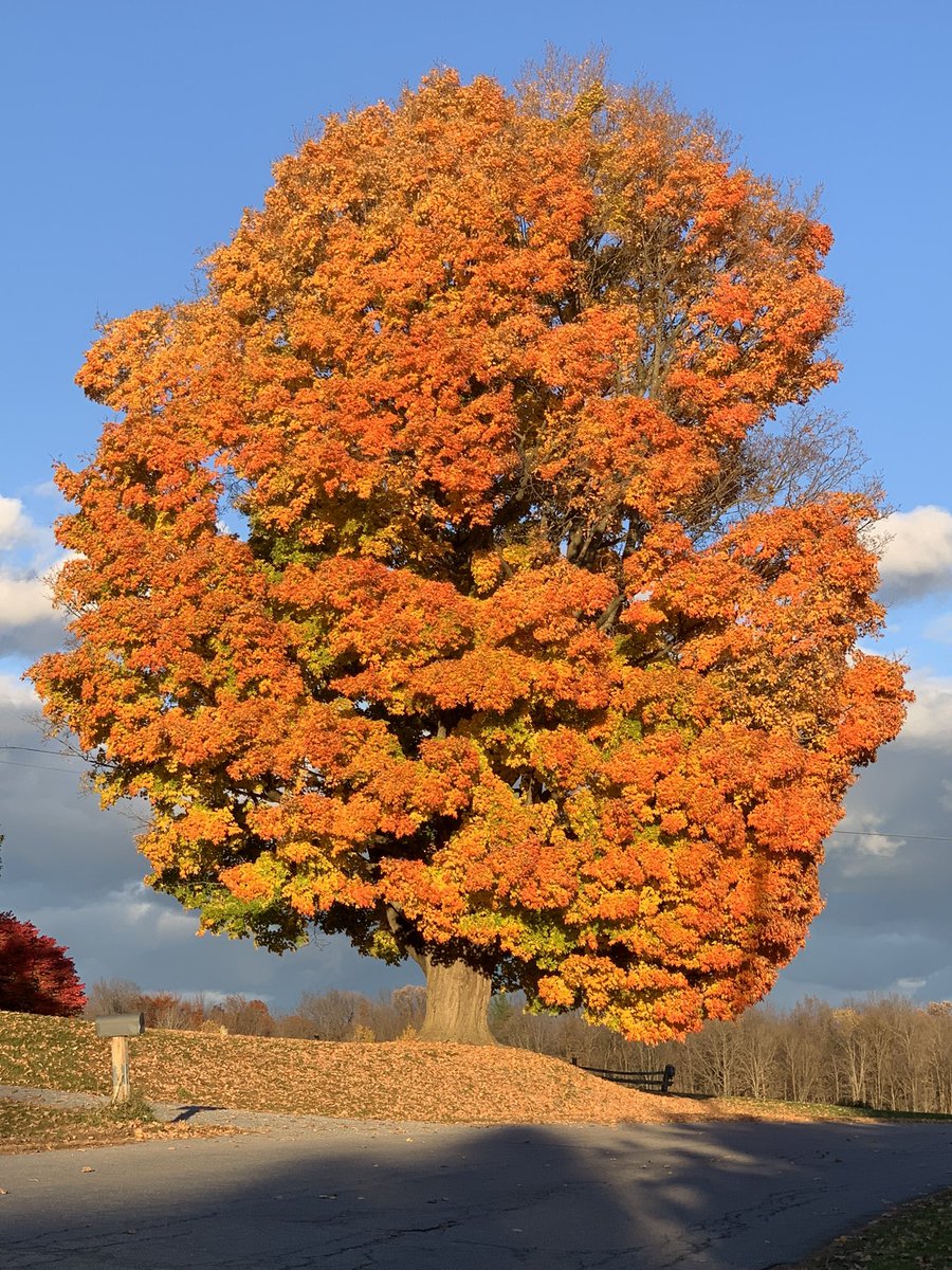 Peak Vermont