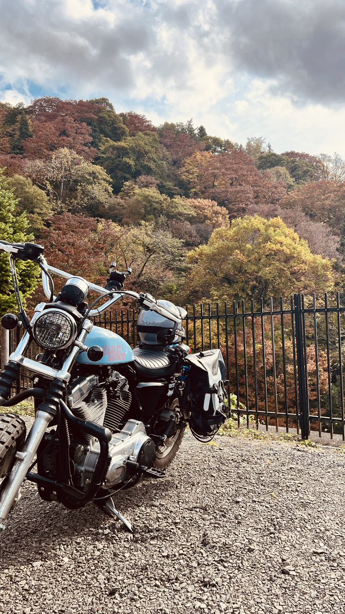 CBaggKMK's tweet photo. もうハーレーちゃんの遊べる機会も少ないので(冬支度)、中野もみじ山へ遊びに🍁
んー…
ちょっと早かったかー💦
あと中野もみじ山、めっちゃ登るので、思いがけず脚トレになりましたw
#883
#883l
#883low
#harleydavidson https://t.co/EjSoB8iZlg