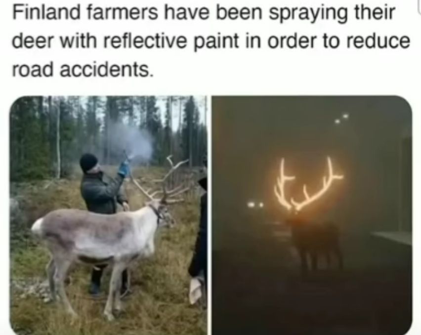 internet hall of fame (@interneth0f) on Twitter photo 