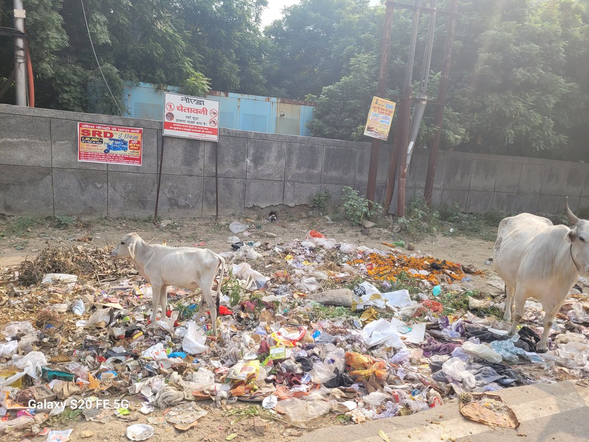 RastogiDuencal's tweet photo. Request respective authorities to clear this mess on an immediate basis. Diwali is approaching and still no urgency. It has been there for ages now.
Location - Near Golf Avenue 2, Sec 75, Noida https://t.co/bgKekRTf5R