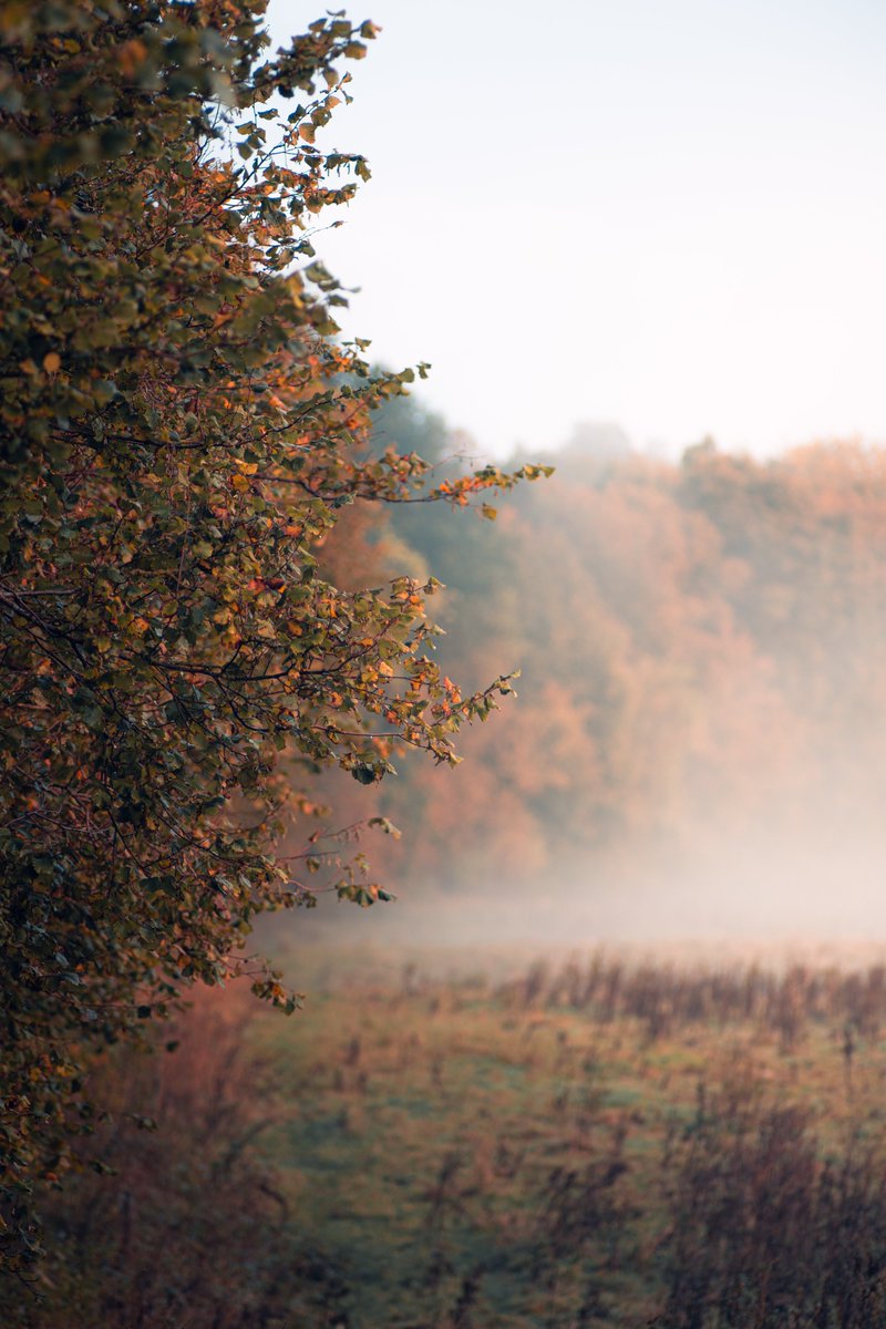 Darte Fex tweet media